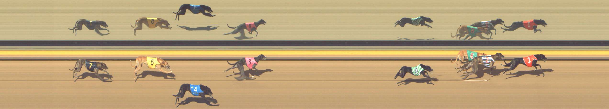 Photo finish for Shepparton Race 4
