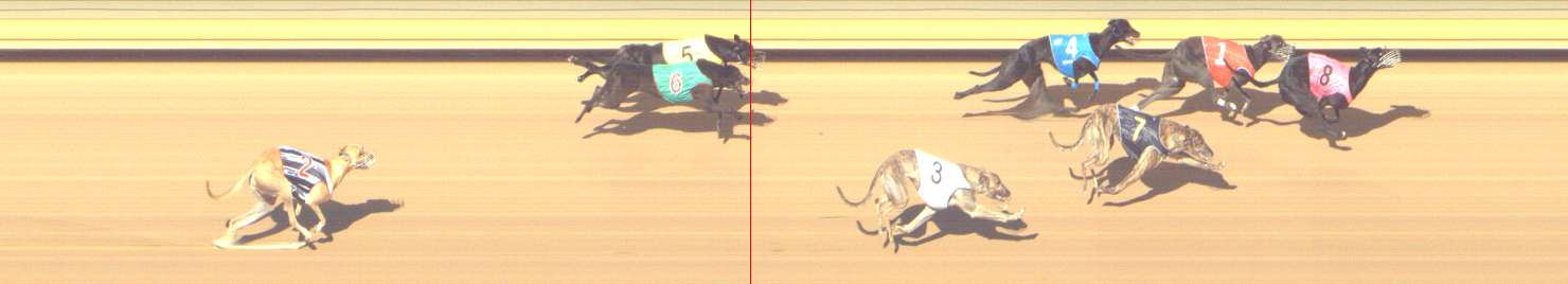 Photo finish for Shepparton Race 5