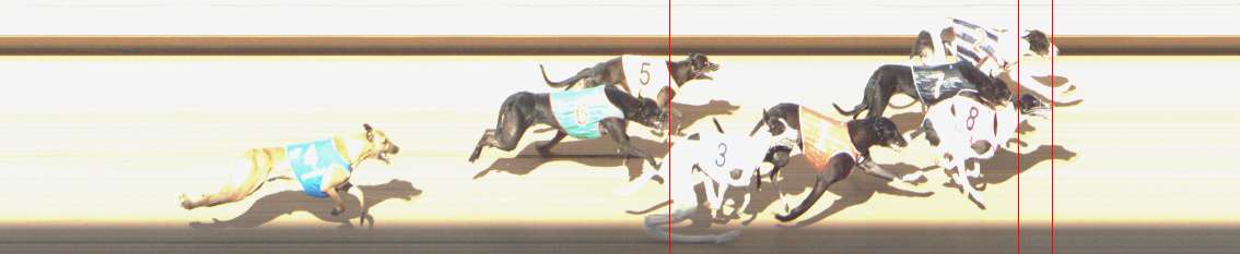 Photo finish for Shepparton Race 6