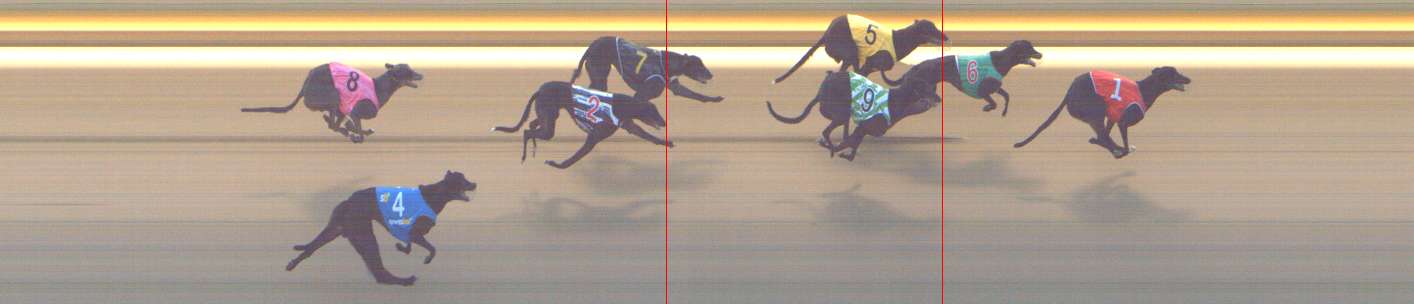 Photo finish for Shepparton Race 7