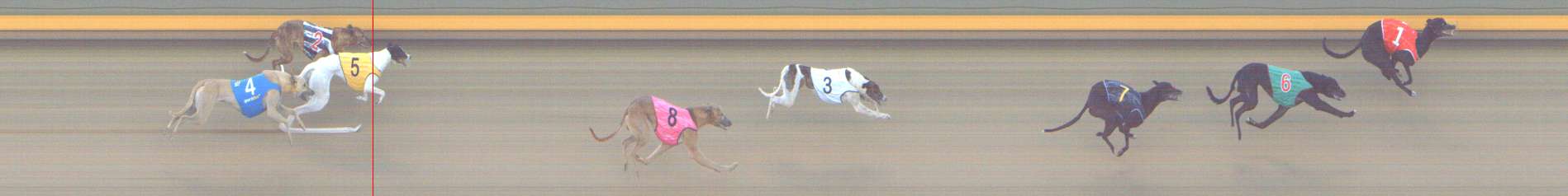 Photo finish for Shepparton Race 8
