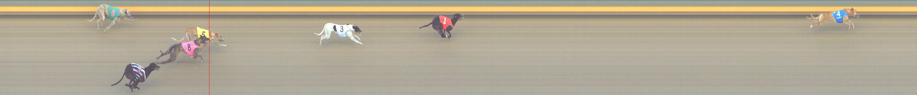 Photo finish for Shepparton Race 9