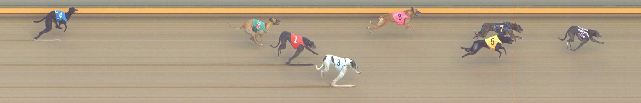 Photo finish for Shepparton Race 10