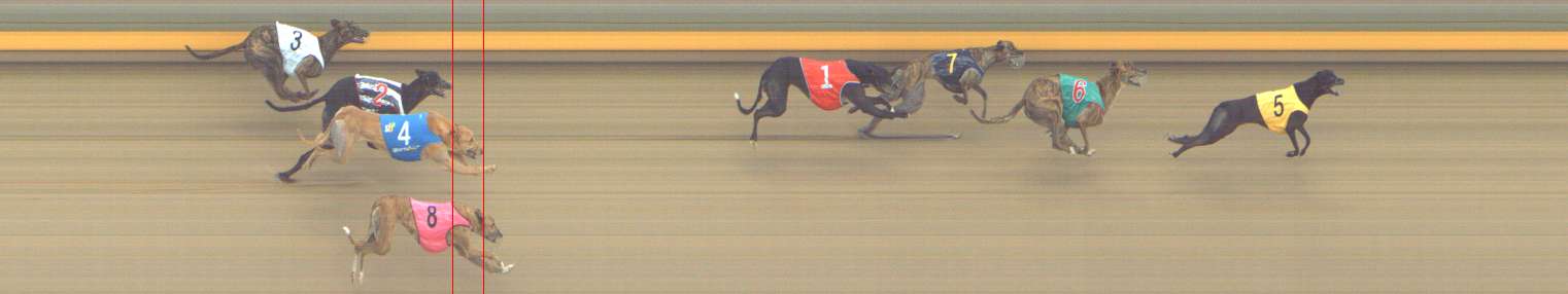 Photo finish for Shepparton Race 11