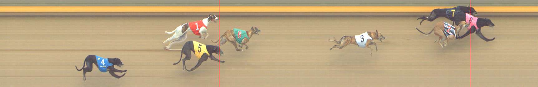 Photo finish for Shepparton Race 12
