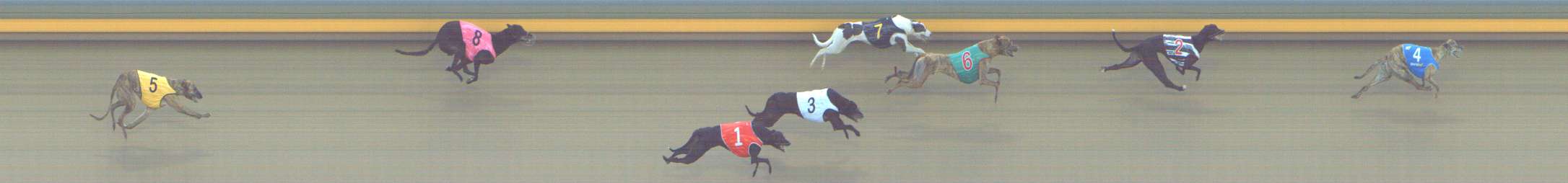 Photo finish for Shepparton Race 13