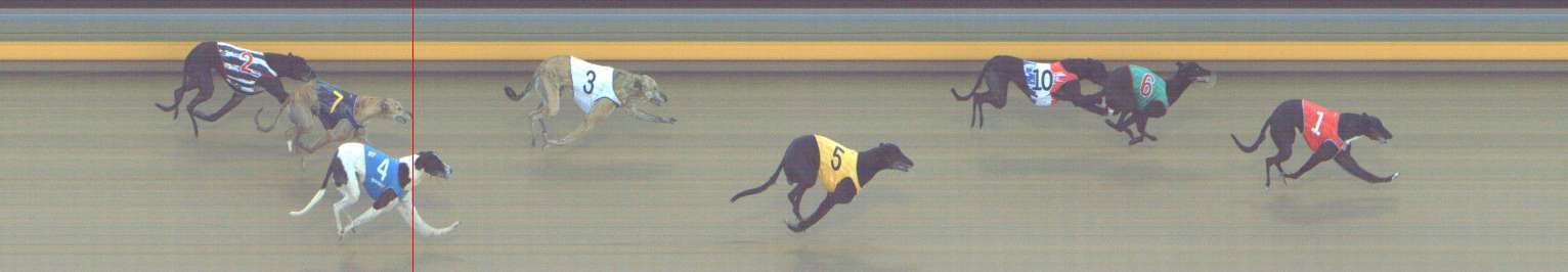 Photo finish for Shepparton Race 14