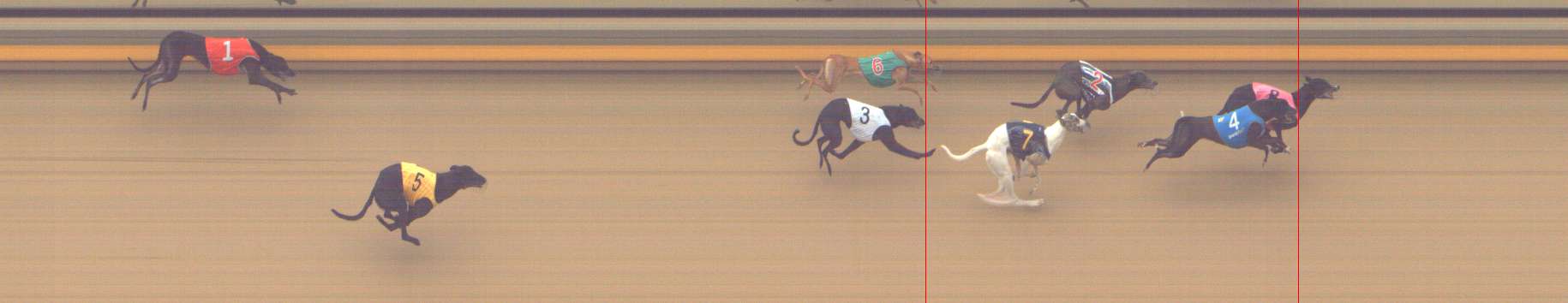 Photo finish for Shepparton Race 1