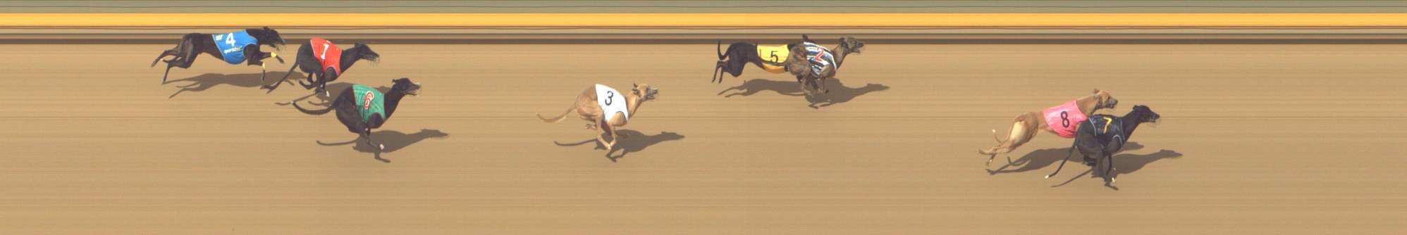Photo finish for Shepparton Race 3