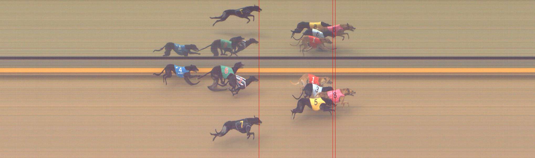 Photo finish for Shepparton Race 4