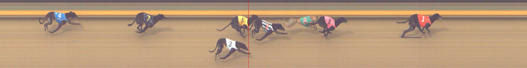 Photo finish for Shepparton Race 5