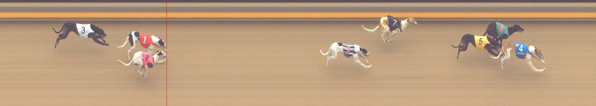 Photo finish for Shepparton Race 6