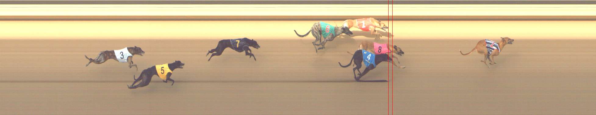 Photo finish for Shepparton Race 7