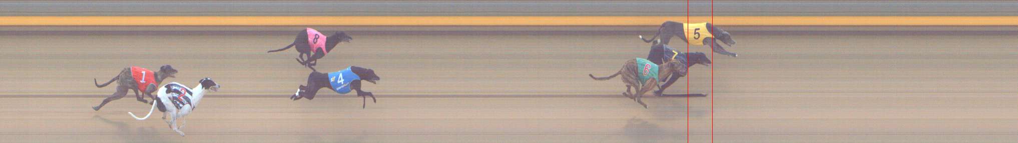 Photo finish for Shepparton Race 8