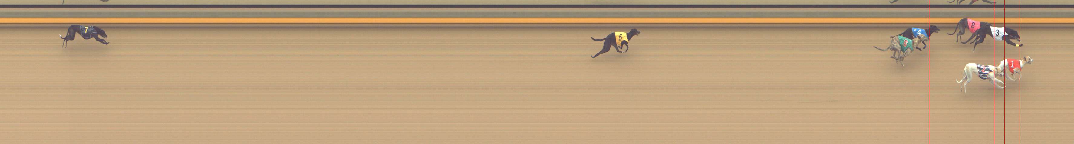 Photo finish for Shepparton Race 9