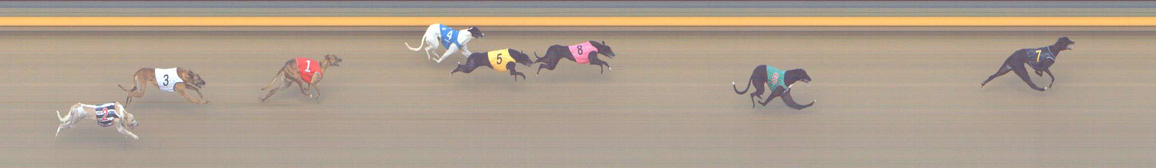 Photo finish for Shepparton Race 11