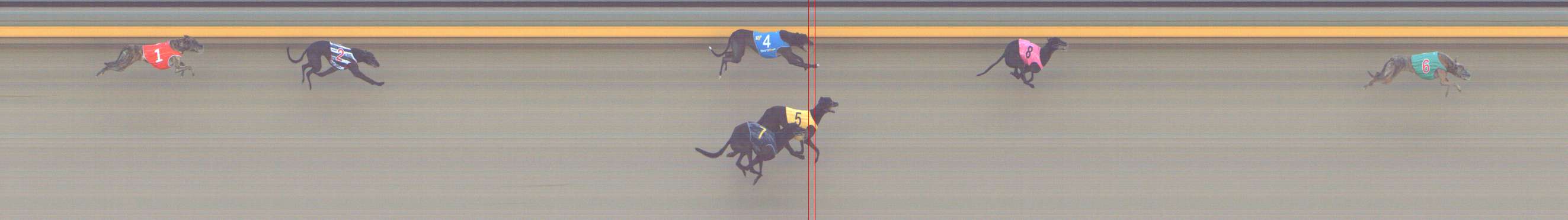 Photo finish for Shepparton Race 12