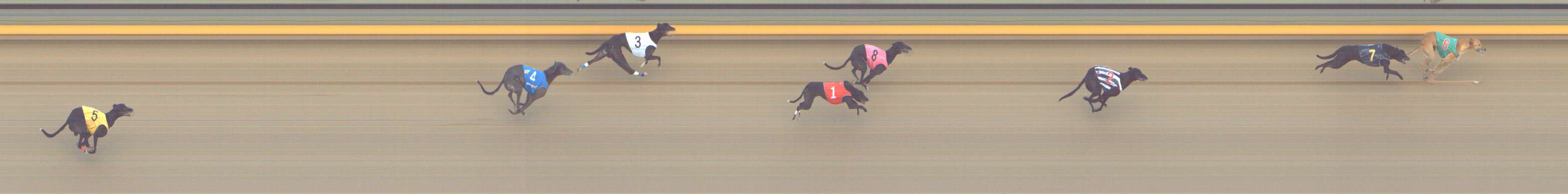 Photo finish for Shepparton Race 13