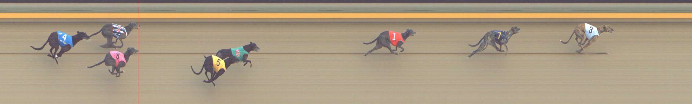 Photo finish for Shepparton Race 14