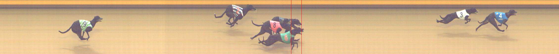 Photo finish for Shepparton Race 1