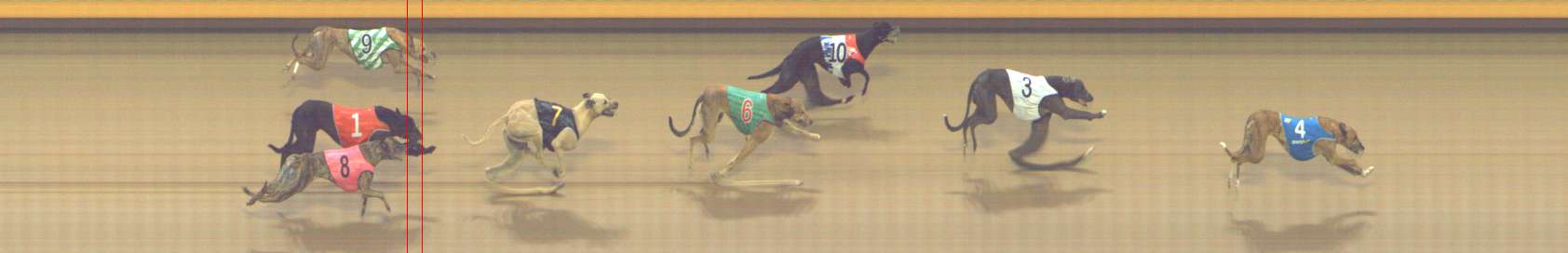 Photo finish for Shepparton Race 2