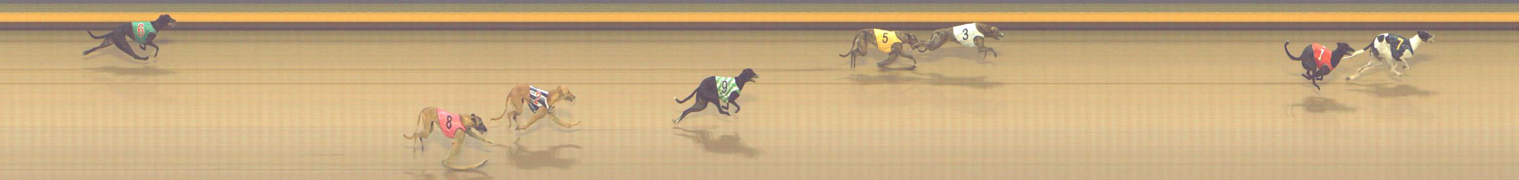 Photo finish for Shepparton Race 3