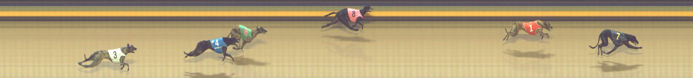 Photo finish for Shepparton Race 4