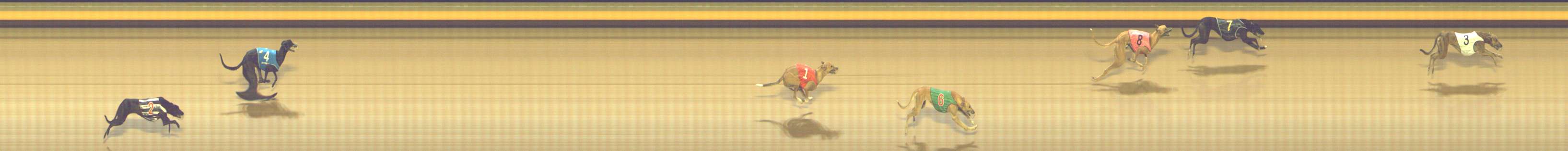 Photo finish for Shepparton Race 5