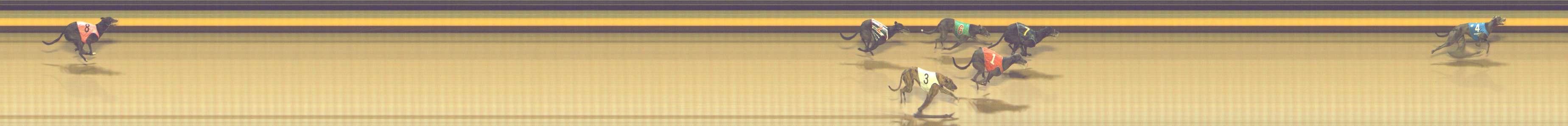 Photo finish for Shepparton Race 6