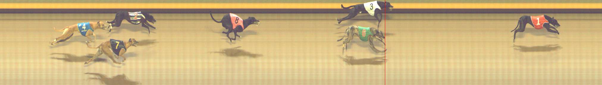 Photo finish for Shepparton Race 7