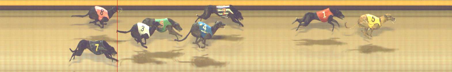 Photo finish for Shepparton Race 8
