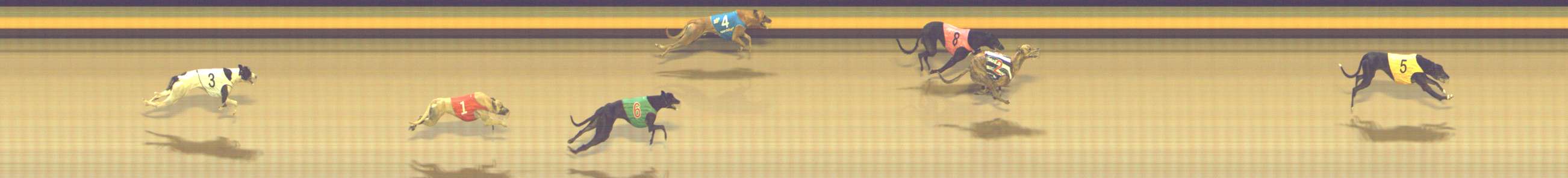 Photo finish for Shepparton Race 9