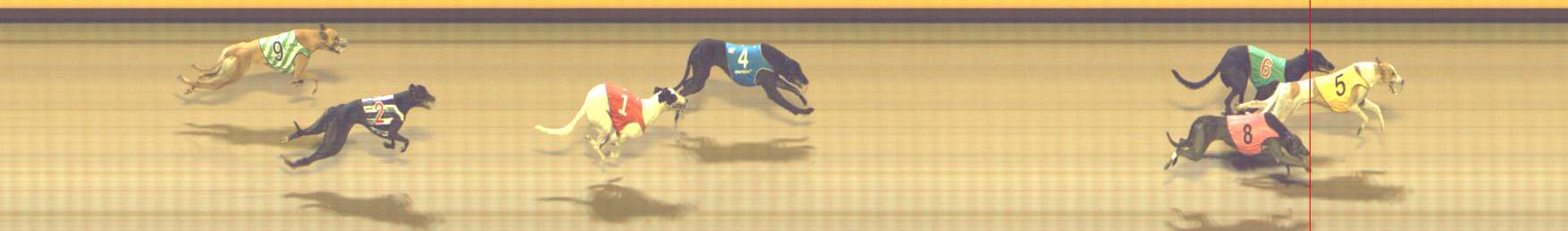 Photo finish for Shepparton Race 10