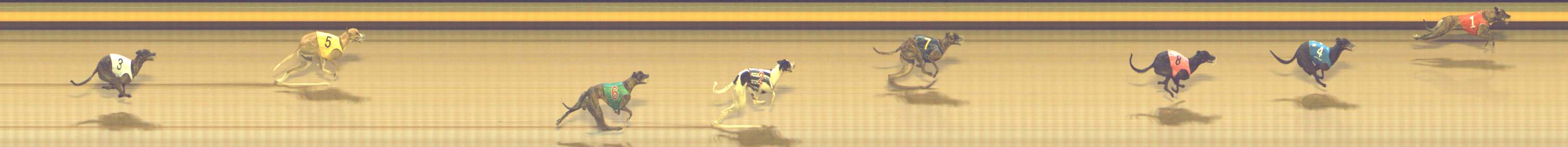 Photo finish for Shepparton Race 11