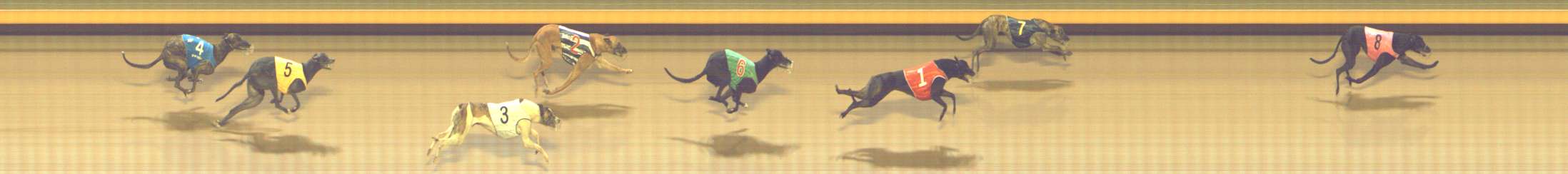 Photo finish for Shepparton Race 12