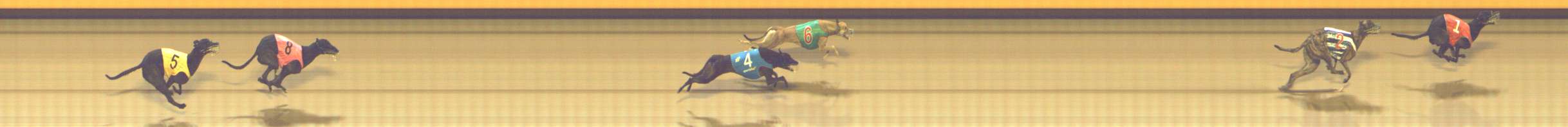 Photo finish for Shepparton Race 13