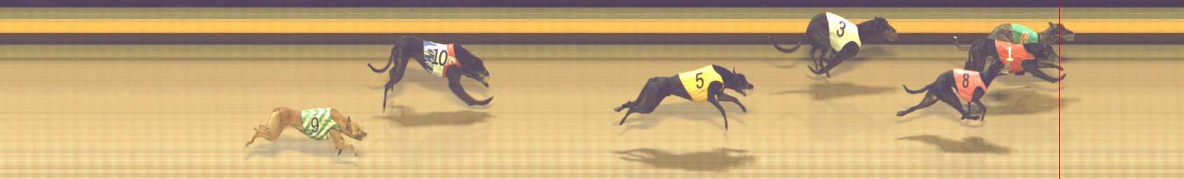 Photo finish for Shepparton Race 14
