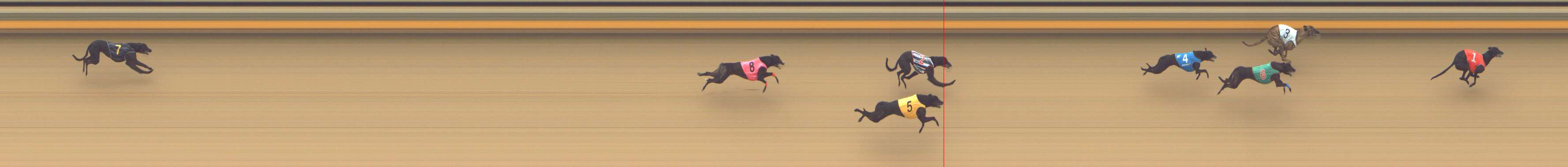 Photo finish for Shepparton Race 1