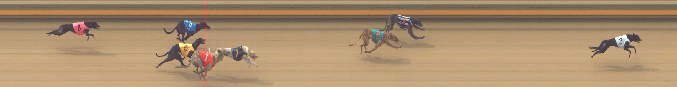 Photo finish for Shepparton Race 2