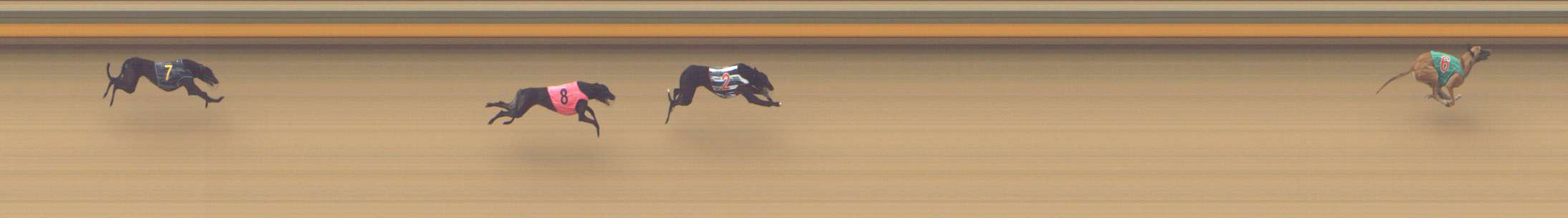 Photo finish for Shepparton Race 3
