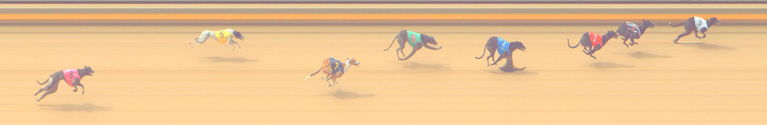 Photo finish for Shepparton Race 4