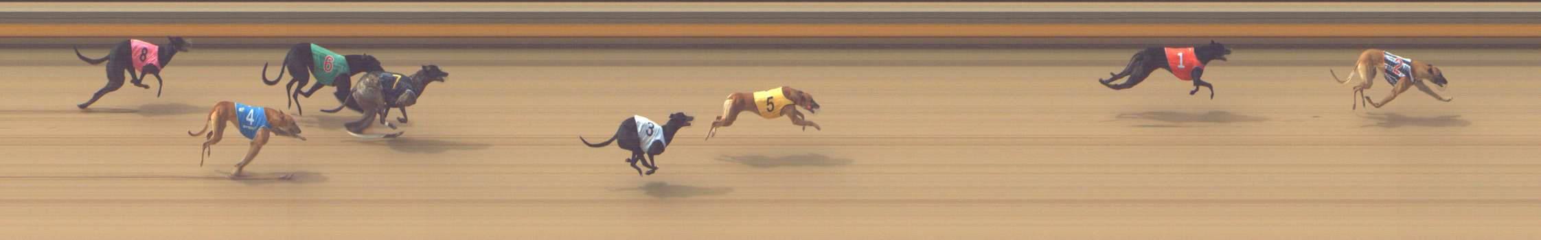 Photo finish for Shepparton Race 5