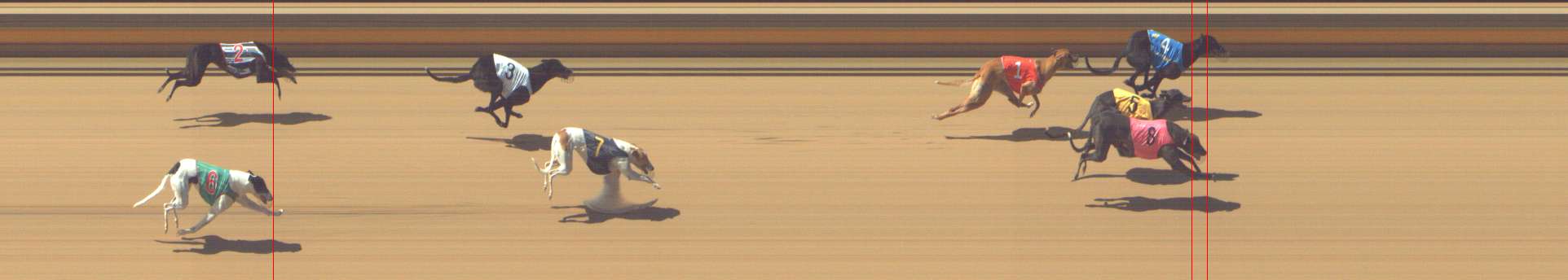 Photo finish for Shepparton Race 6