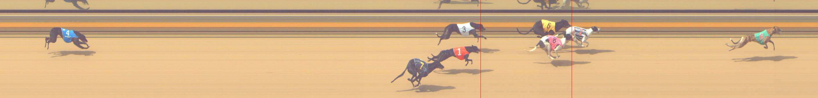 Photo finish for Shepparton Race 8