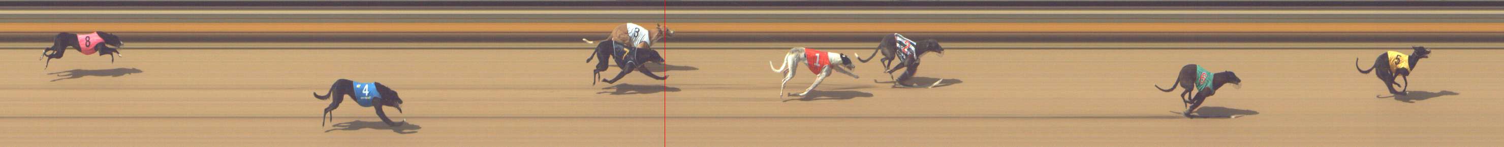Photo finish for Shepparton Race 9