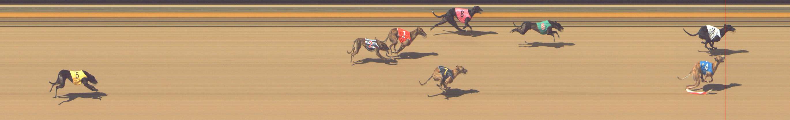 Photo finish for Shepparton Race 10