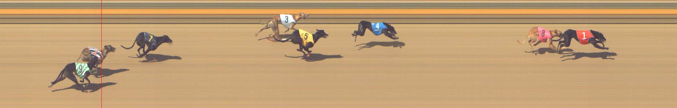 Photo finish for Shepparton Race 11