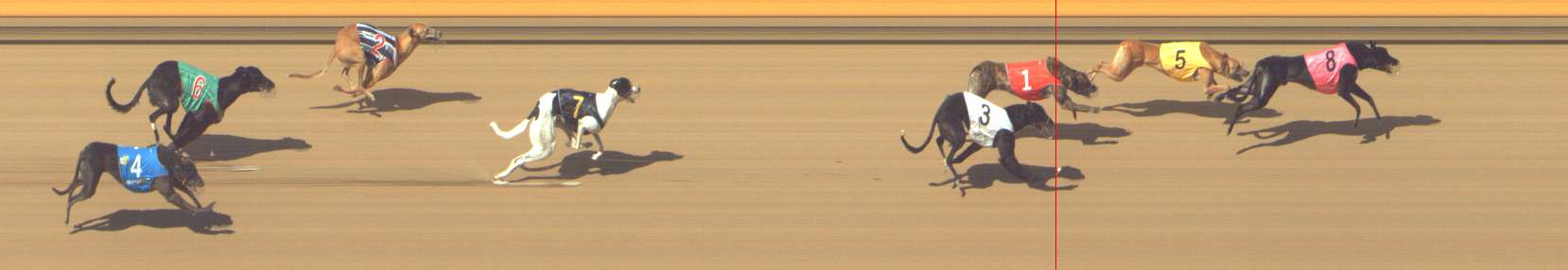Photo finish for Shepparton Race 12