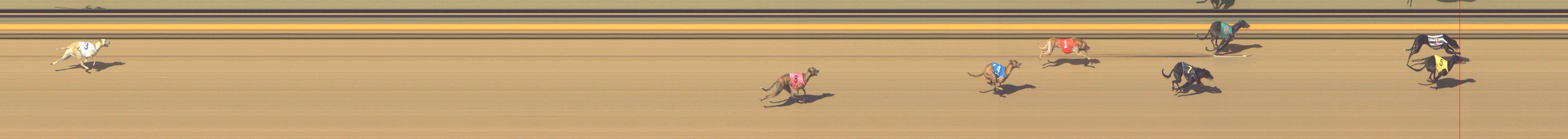 Photo finish for Shepparton Race 13