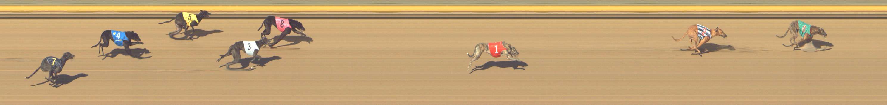 Photo finish for Shepparton Race 14